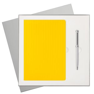 Подарочный набор Rain, желтый (ежедневник, ручка)