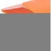 Ежедневник Flexpen Color, датированный, оранжевый