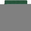 Ежедневник Flexpen Color, датированный, зеленый