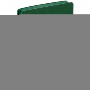 Ежедневник Flexpen Color, датированный, зеленый