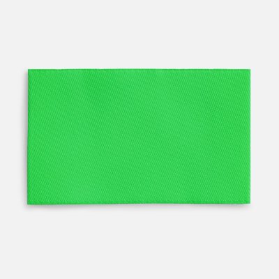 Лейбл тканевый Epsilon, M, зеленый неон