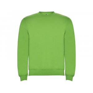 Свитшот с начесом Clasica детский, зеленое яблоко Свитшот с начесом Clasica детский, зеленое яблоко