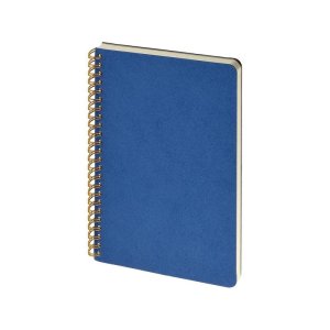 Бизнес тетрадь на гребне А5 Pragmatic, 60 листов в клетку, синий