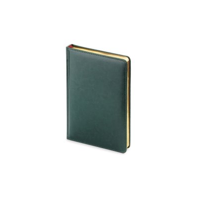 Ежедневник А5 датированный Sidney Nebraska 2026, зеленый (золотой обрез)