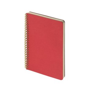 Бизнес тетрадь на гребне А5 Pragmatic, 60 листов в клетку, красный