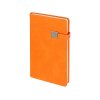 Ежедневник недатированный А5 Premier, оранжевый