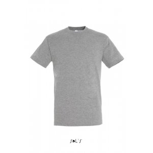 Фуфайка (футболка) REGENT мужская,Серый меланж XS