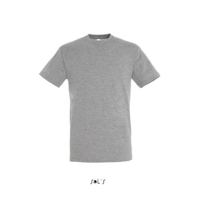 Фуфайка (футболка) REGENT мужская,Серый меланж XS