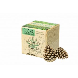 Набор для выращивания «Экокуб», сосна Набор для выращивания «Экокуб», сосна