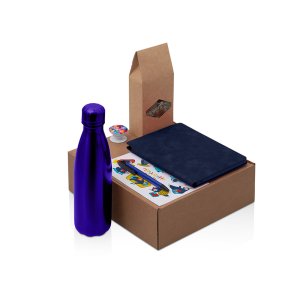 Подарочный набор с термобутылкой, блокнотом, ручкой и чаем, синий