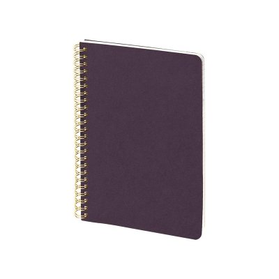 Бизнес тетрадь на гребне А5 Pragmatic, 60 листов в клетку, фиолетовый