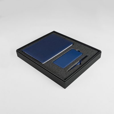 Набор подарочный BLISS: ежедневник, ручка и power bank в коробкес ложементом