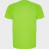 Спортивная футболка IMOLA мужская, ФЛУОРЕСЦЕНТНЫЙ ЗЕЛЕНЫЙ M