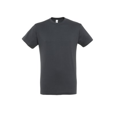 Футболка Regent мужская, 150 грамм.