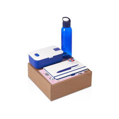 Подарочный набор с бутылкой для воды. блокнотом, ручкой и ланчбоксом,синий