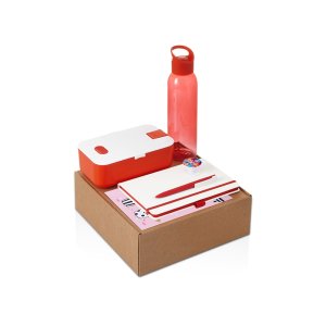 Подарочный набор с бутылкой для воды. блокнотом, ручкой и ланчбоксом, красный