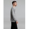 Толстовка Spider 260, серый меланж