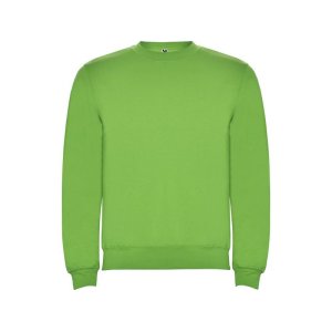 Свитшот с начесом Clasica унисекс, зеленое яблоко Свитшот с начесом Clasica унисекс, зеленое яблоко