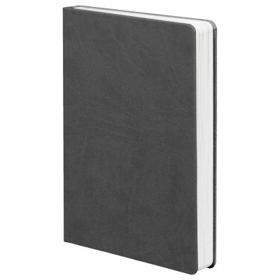 Ежедневник Basis, датированный, серый