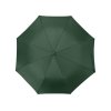 Зонт складной Tulsa, полуавтоматический, 2 сложения, с чехлом, зеленый