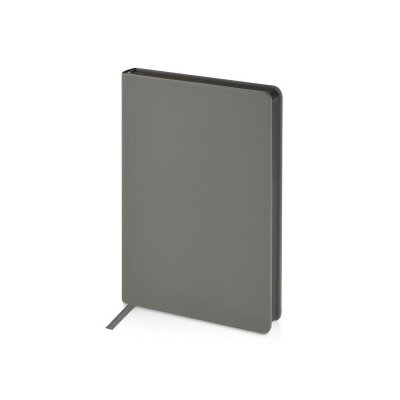 Ежедневник А5 датированный Megapolis Color 2026, серый