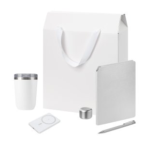 Подарочный набор Welcome Pack Premium, серебряный (термокружка, колонка, ежедневник, ручка, ЗУ, коробка-пакет)