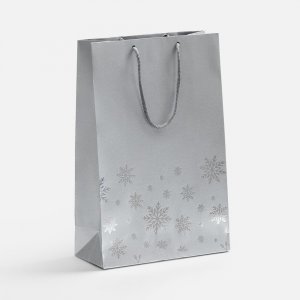 Пакет Wintry, серебристый