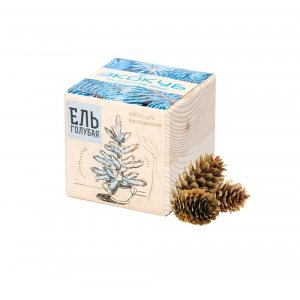 Набор для выращивания «Экокуб», ель голубая Набор для выращивания «Экокуб», ель голубая