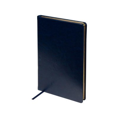 Ежедневник недатированный А5 Megapolis Nebraska, синий с золотым обрезом