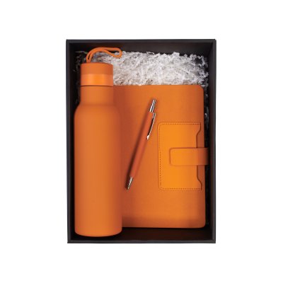 Набор "Успех", цвет оранжевый