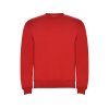 Свитшот с начесом Clasica детский, красный Свитшот с начесом Clasica детский, красный