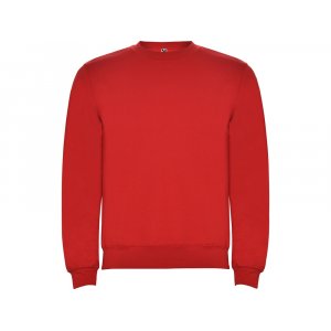 Свитшот с начесом Clasica детский, красный Свитшот с начесом Clasica детский, красный