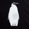 Холщовая сумка Like a Penguin, черная