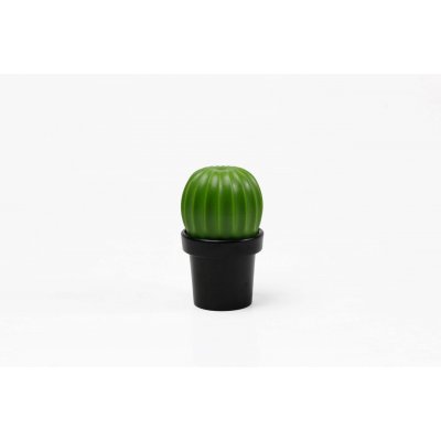 МЕЛЬНИЦА ДЛЯ СПЕЦИЙ Tasty Cactus