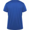 Спортивная футболка DAYTONA унисекс, КОРОЛЕВСКИЙ СИНИЙ 3XL