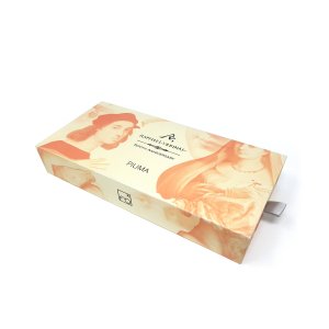 Вечная ручка Pininfarina PIUMA RAPHAEL URBINAS Вечная ручка Pininfarina PIUMA RAPHAEL URBINAS