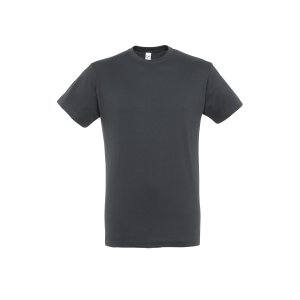 Футболка Regent мужская, 150 грамм.