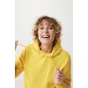 Худи Iqoniq Rila из переработанного хлопка AWARE™, унисекс, 280 г/м²
