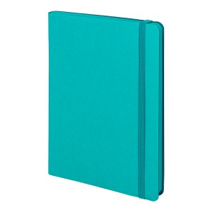 Бизнес-блокнот "RILY", формат А5,бирюзовый, блок в точку