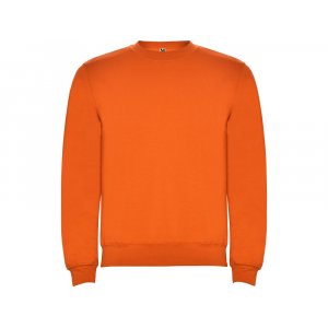 Свитшот с начесом Clasica унисекс, оранжевый Свитшот с начесом Clasica унисекс, оранжевый