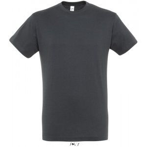 Фуфайка (футболка) REGENT мужская,Тёмно-серый/графит 4XL