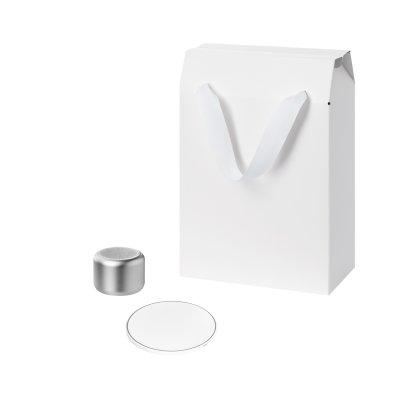 Подарочный набор Passion, Auris,серебряный (колонка, зарядное устройство)