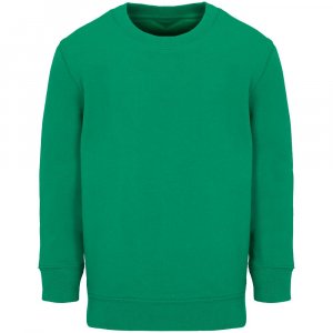 Свитшот детский Columbia Kids, ярко-зеленый Свитшот детский Columbia Kids, ярко-зеленый