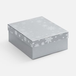 Коробка Wintry, серебристая Коробка Wintry, серебристая