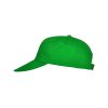 Бейсболка Basica, папоротниковый