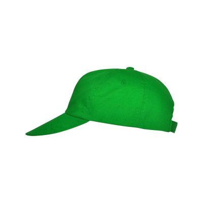 Бейсболка Basica, папоротниковый