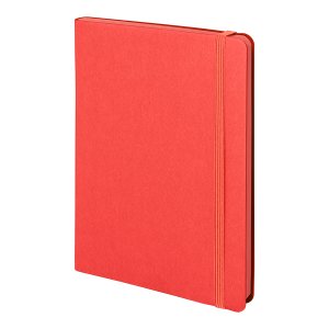 Бизнес-блокнот "RILY", формат А5,красный, блок в точку