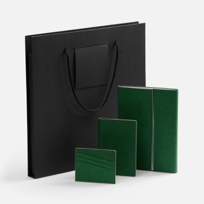 Набор Petrus Flap, зеленый