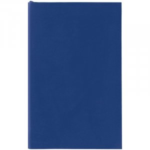 Ежедневник Flat Mini, недатированный, синий