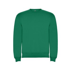 Свитшот с начесом Clasica унисекс, зеленый Свитшот с начесом Clasica унисекс, зеленый